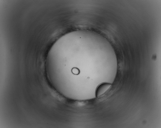 X0000102240662200807250839