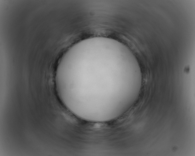 X0000102240663200807250839