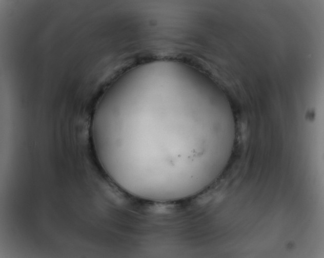 X0000102240664200807250839