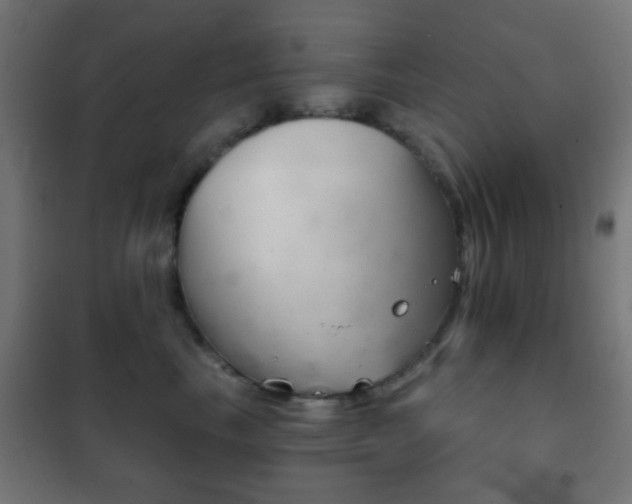 X0000102240665200807250839