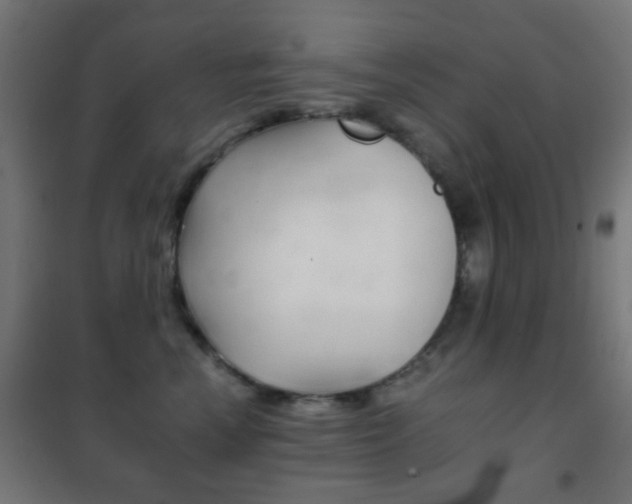 X0000102240666200807250839