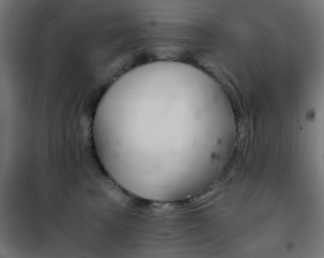 X0000102240667200807250839