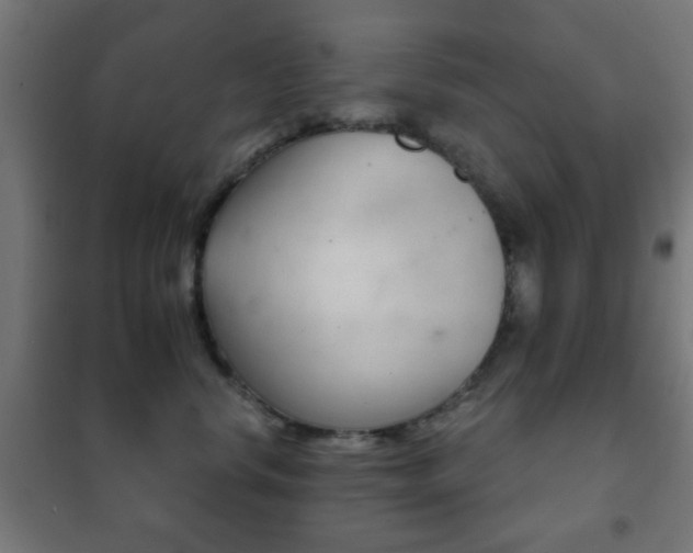 X0000102240668200807250839