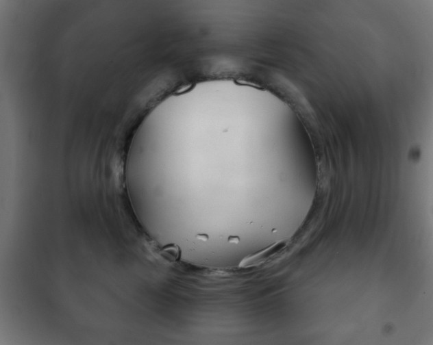 X0000102240669200807250839