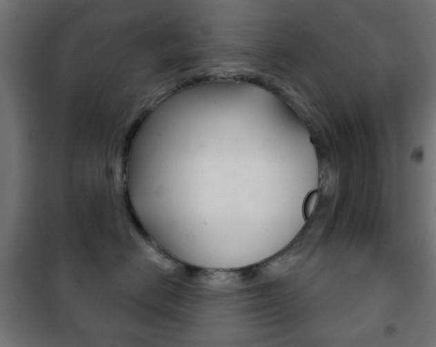 X0000102240670200807250839