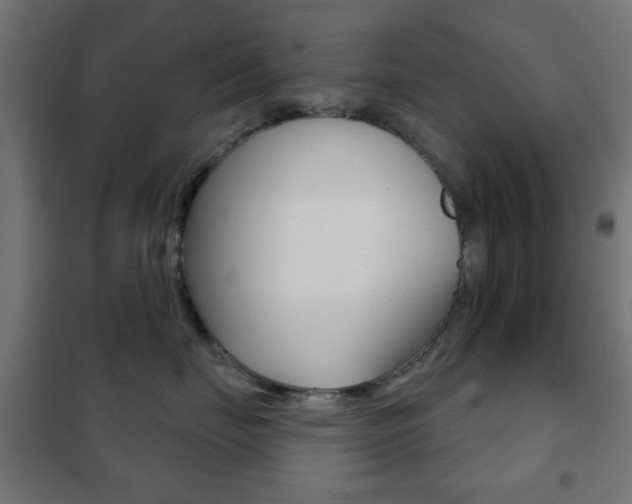 X0000102240671200807250839