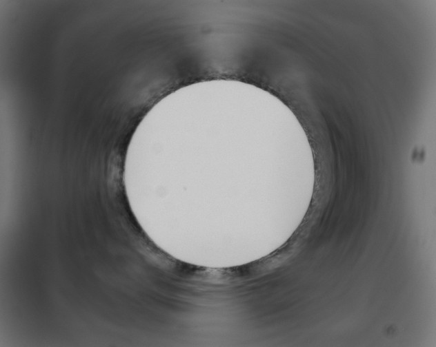 X0000102240672200807250839