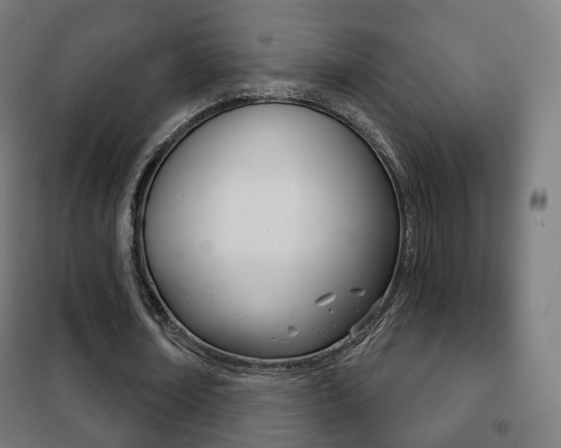 X0000102240674200807250838