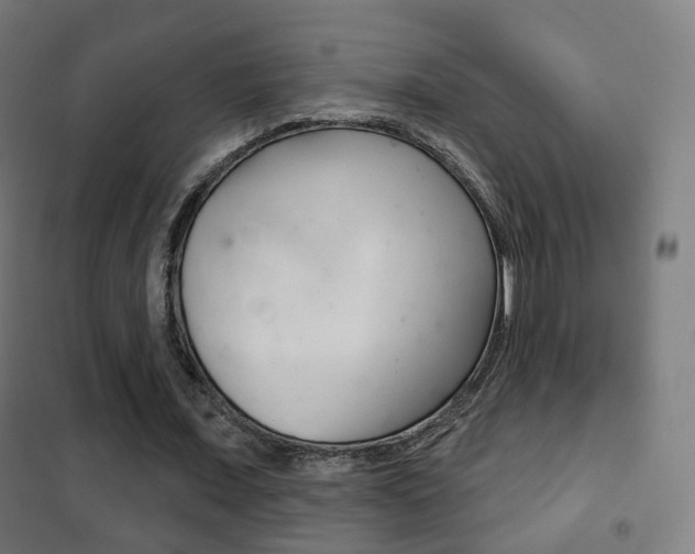 X0000102240675200807250838