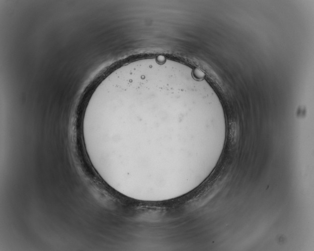 X0000102240676200807250838