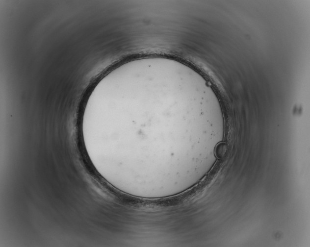 X0000102240677200807250838