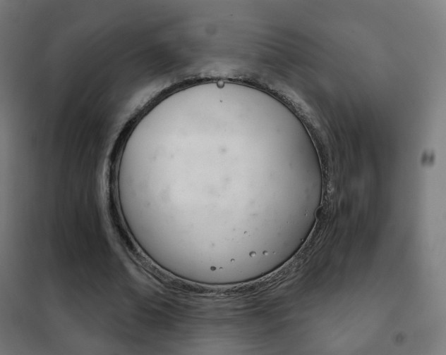 X0000102240678200807250838