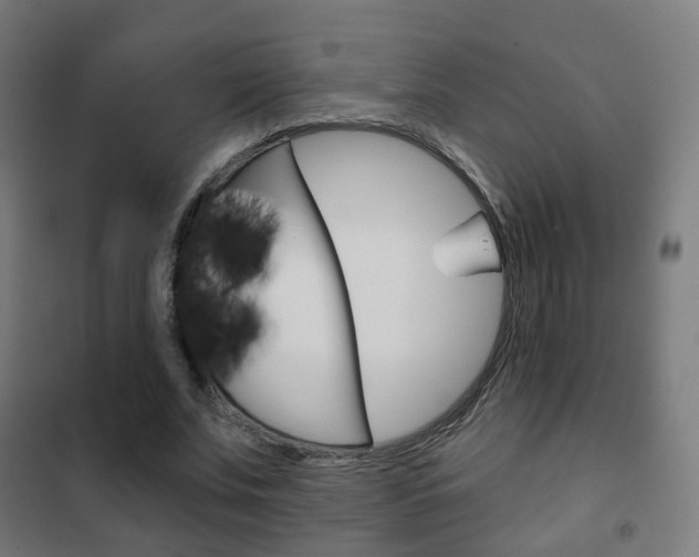X0000102240679200807250838