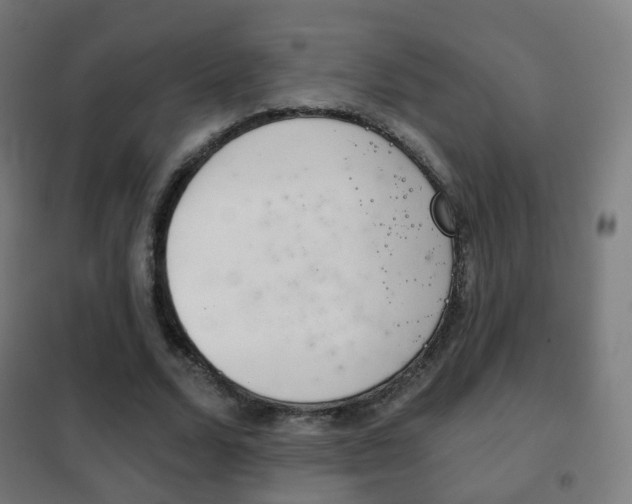 X0000102240680200807250838