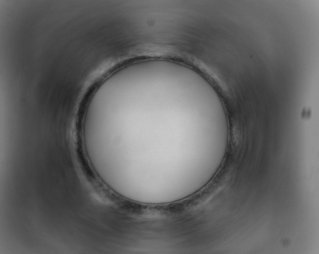X0000102240682200807250838