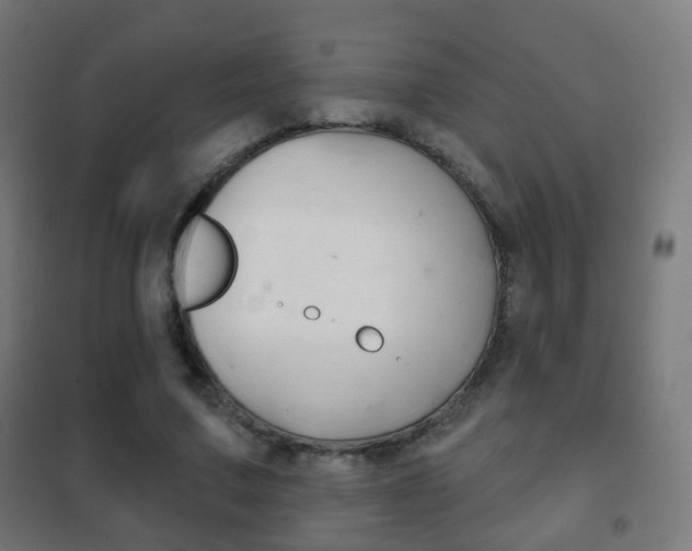 X0000102240683200807250838