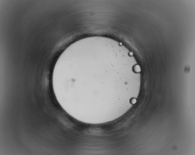 X0000102240685200807250838