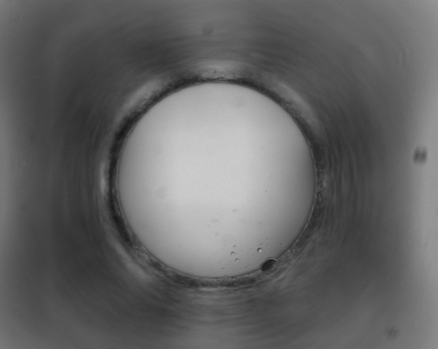 X0000102240686200807250838
