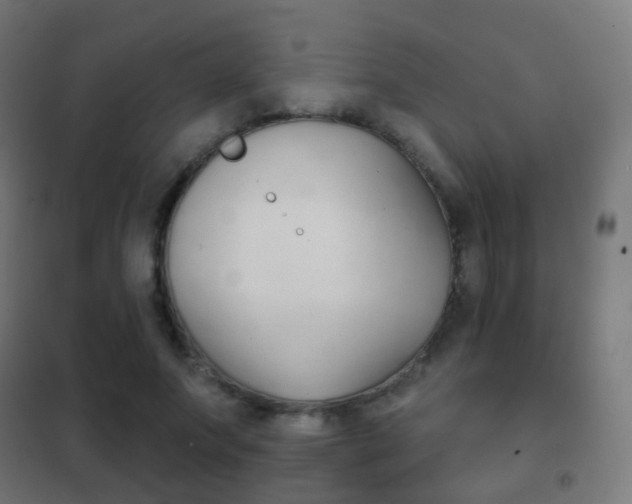 X0000102240687200807250838