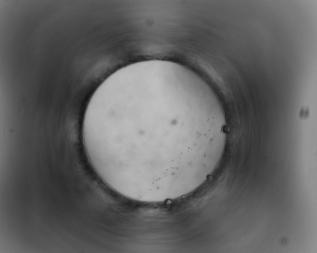 X0000102240689200807250838