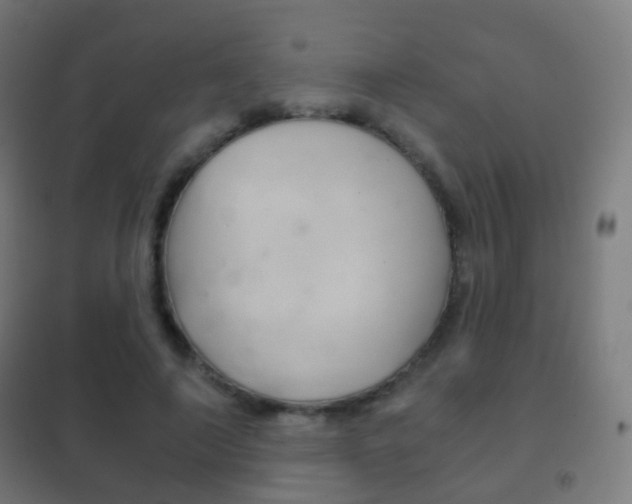 X0000102240690200807250838