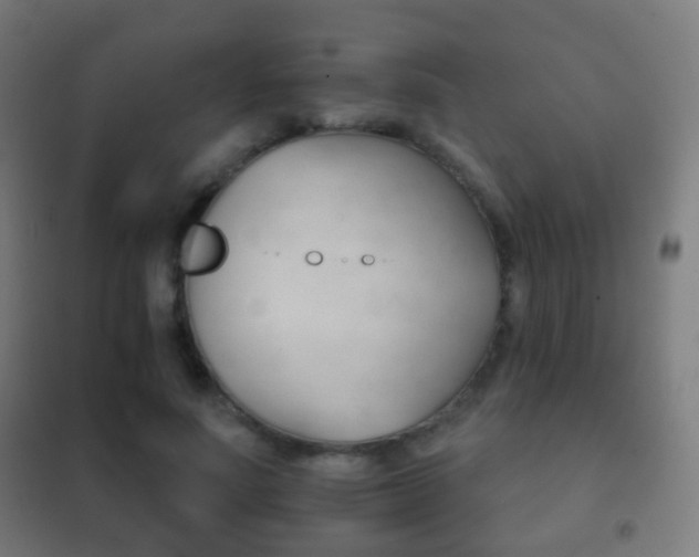 X0000102240691200807250838