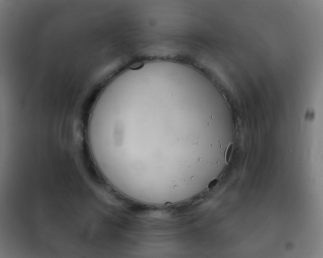 X0000102240692200807250838