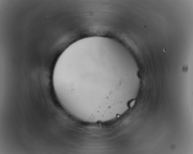 X0000102240693200807250838