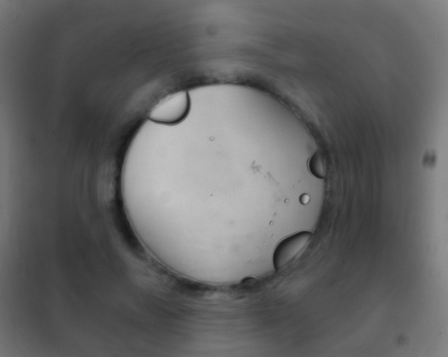 X0000102240694200807250838