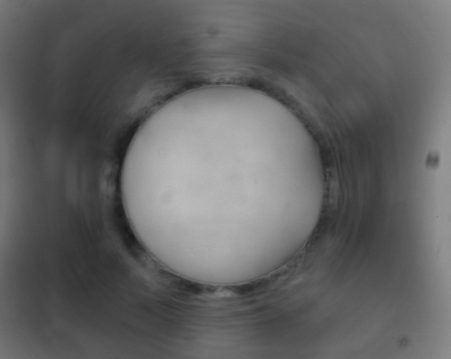 X0000102240695200807250838