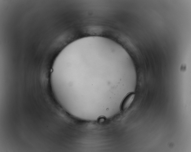 X0000102240697200807250838