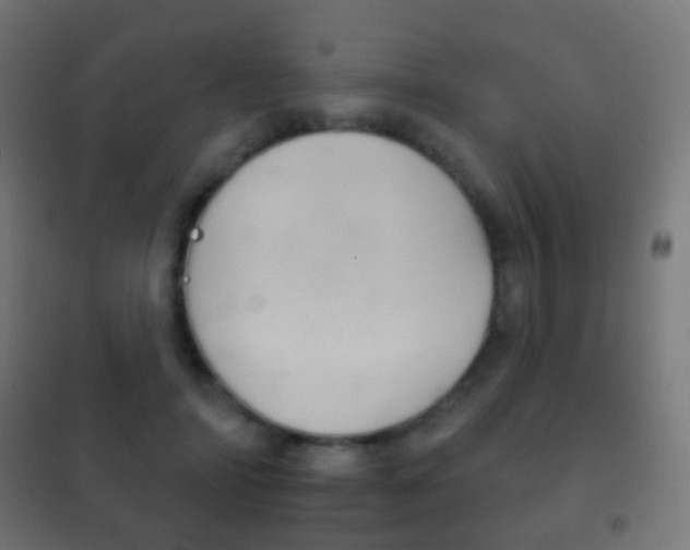 X0000102240698200807250838