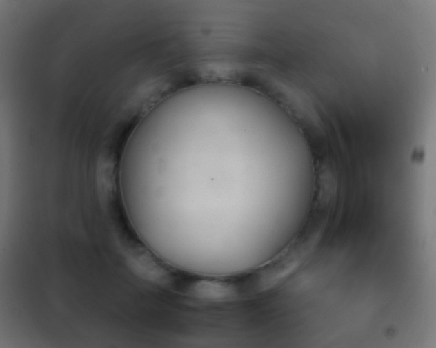 X0000102240699200807250837