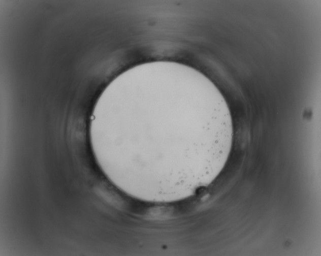 X0000102240700200807250837