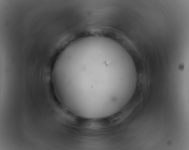 X0000102240702200807250837