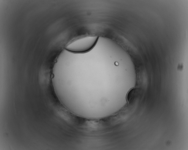 X0000102240703200807250837