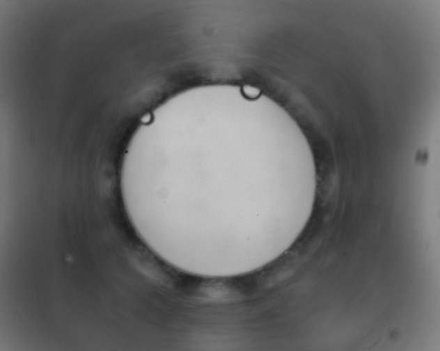 X0000102240704200807250837