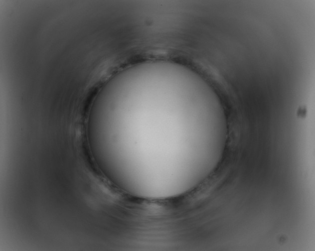 X0000102240706200807250837