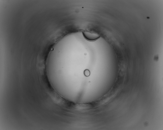 X0000102240707200807250837