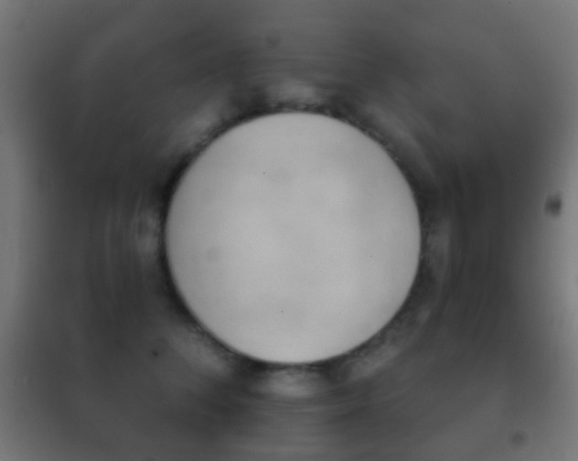 X0000102240708200807250837