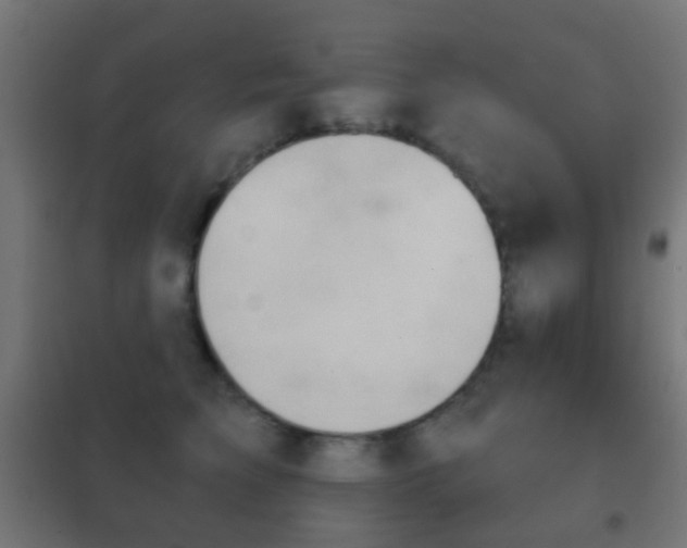 X0000102240709200807250837
