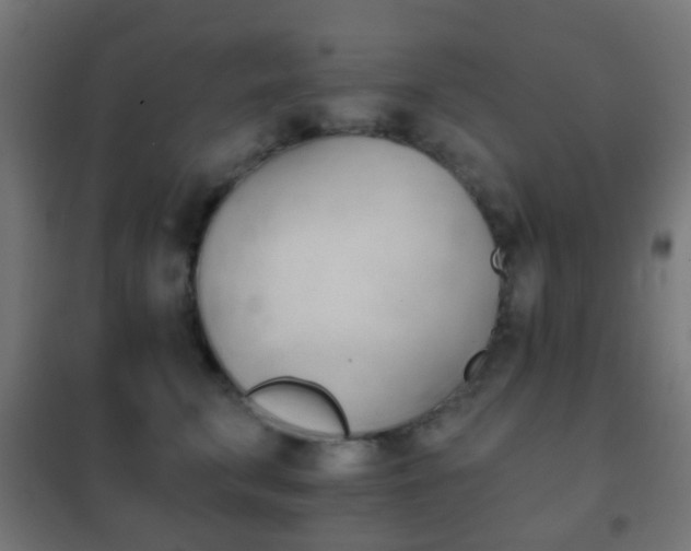 X0000102240711200807250837