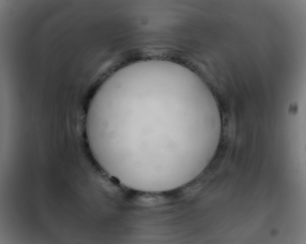 X0000102240712200807250837