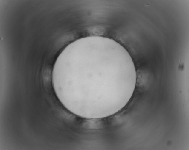 X0000102240713200807250837