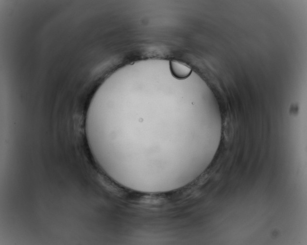 X0000102240714200807250837