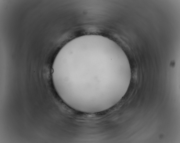 X0000102240715200807250837