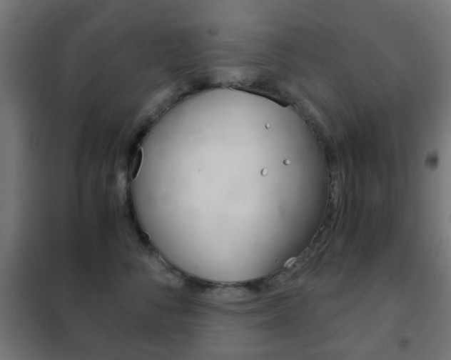X0000102240716200807250837