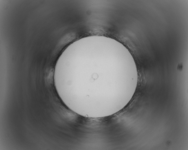 X0000102240717200807250837