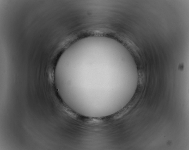 X0000102240718200807250837