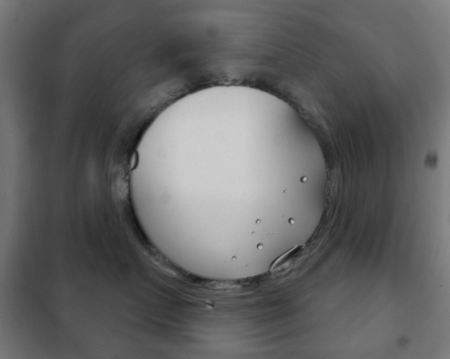 X0000102240719200807250837